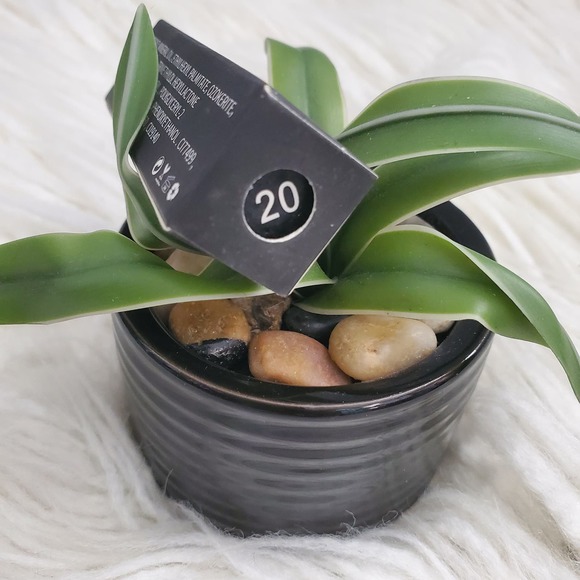 TASH Cosmetics Red Matte Tube Lipstick #20 - Picture 2 of 3